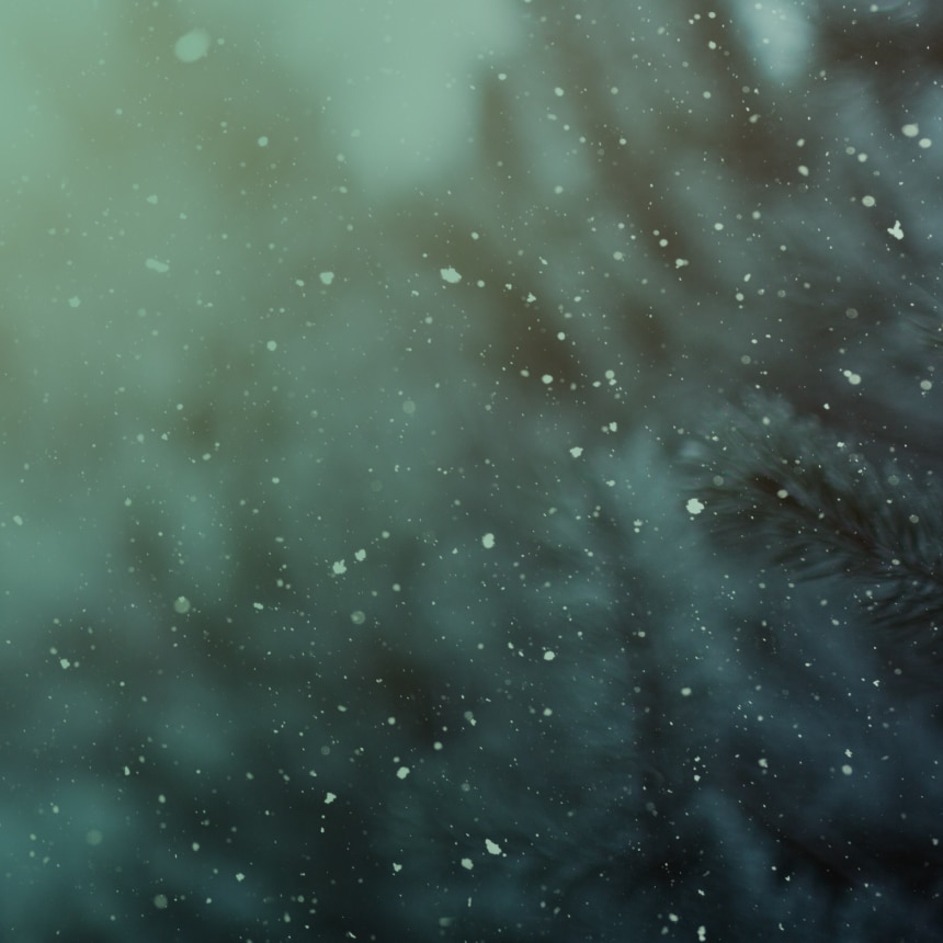 AI Slop During Holidays Webinar - Insider