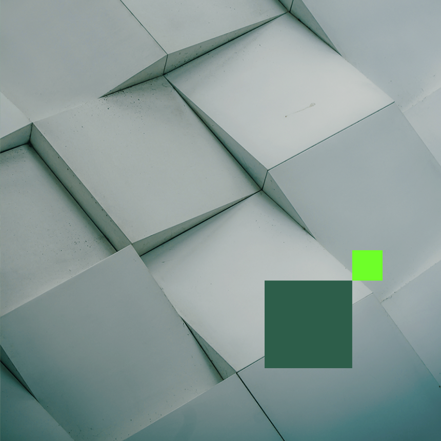 Performance & Brand Equity in the New Media Landscape