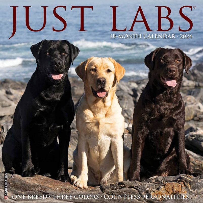 Just Labs Calendar