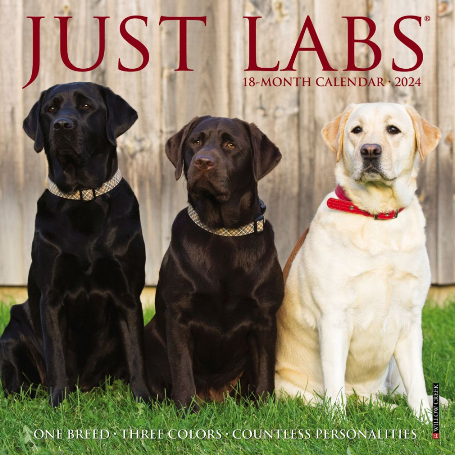 Just Labs Mini Wall Calendar