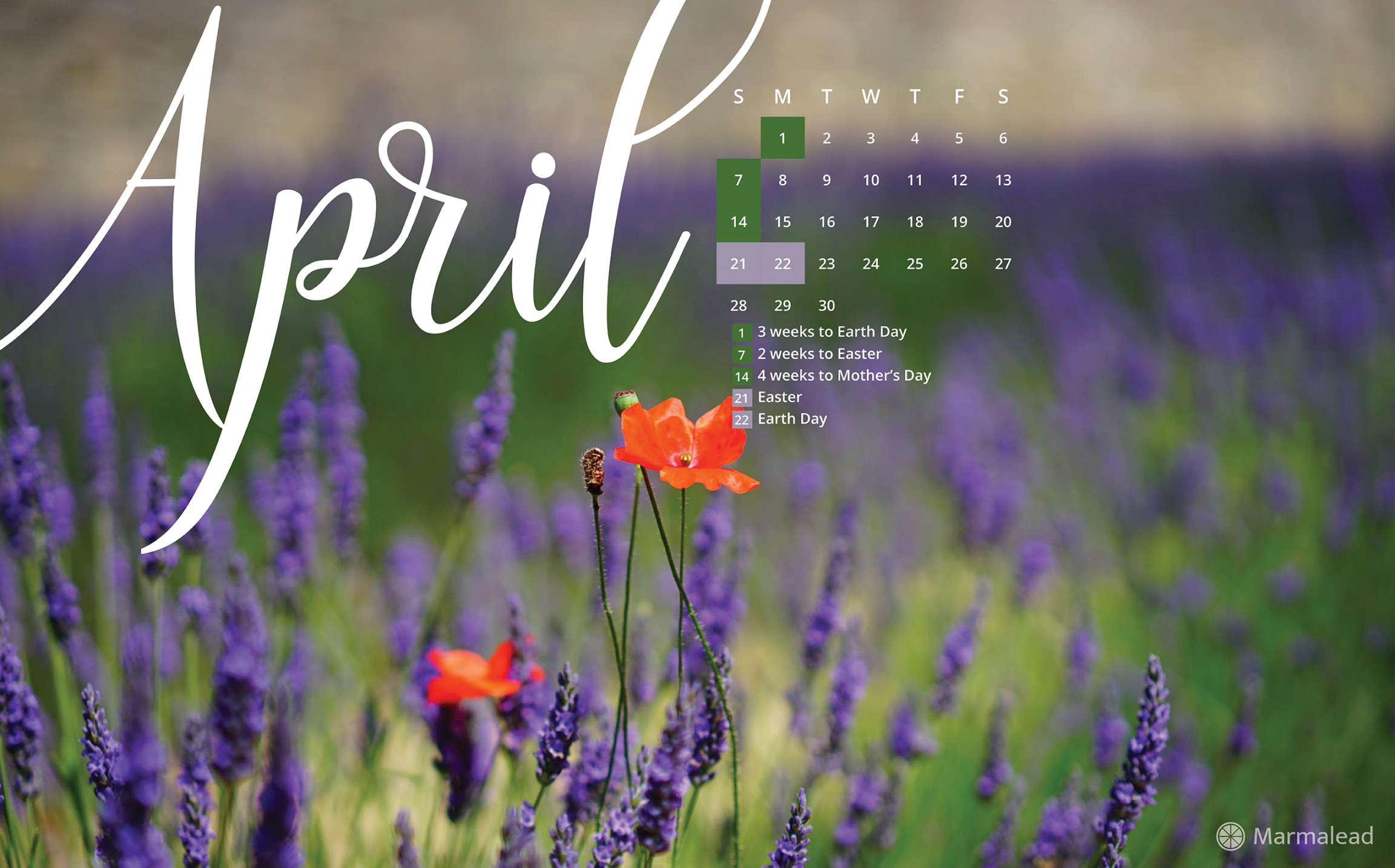 April  Free Desktop Calendar/Wallpaper from Marmalead
