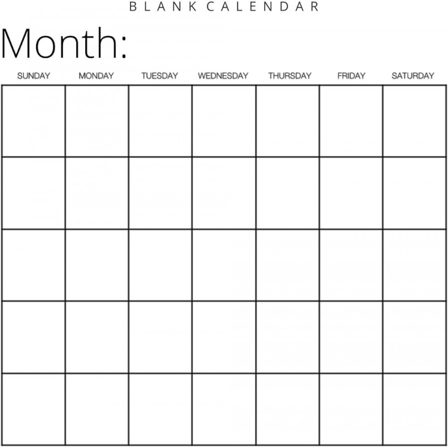 Blank Calendar: White Background, by Llama Bird Press