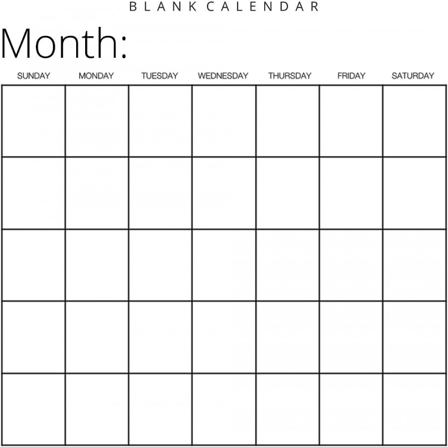 Blank Calendar: White Background, by Llama Bird Press
