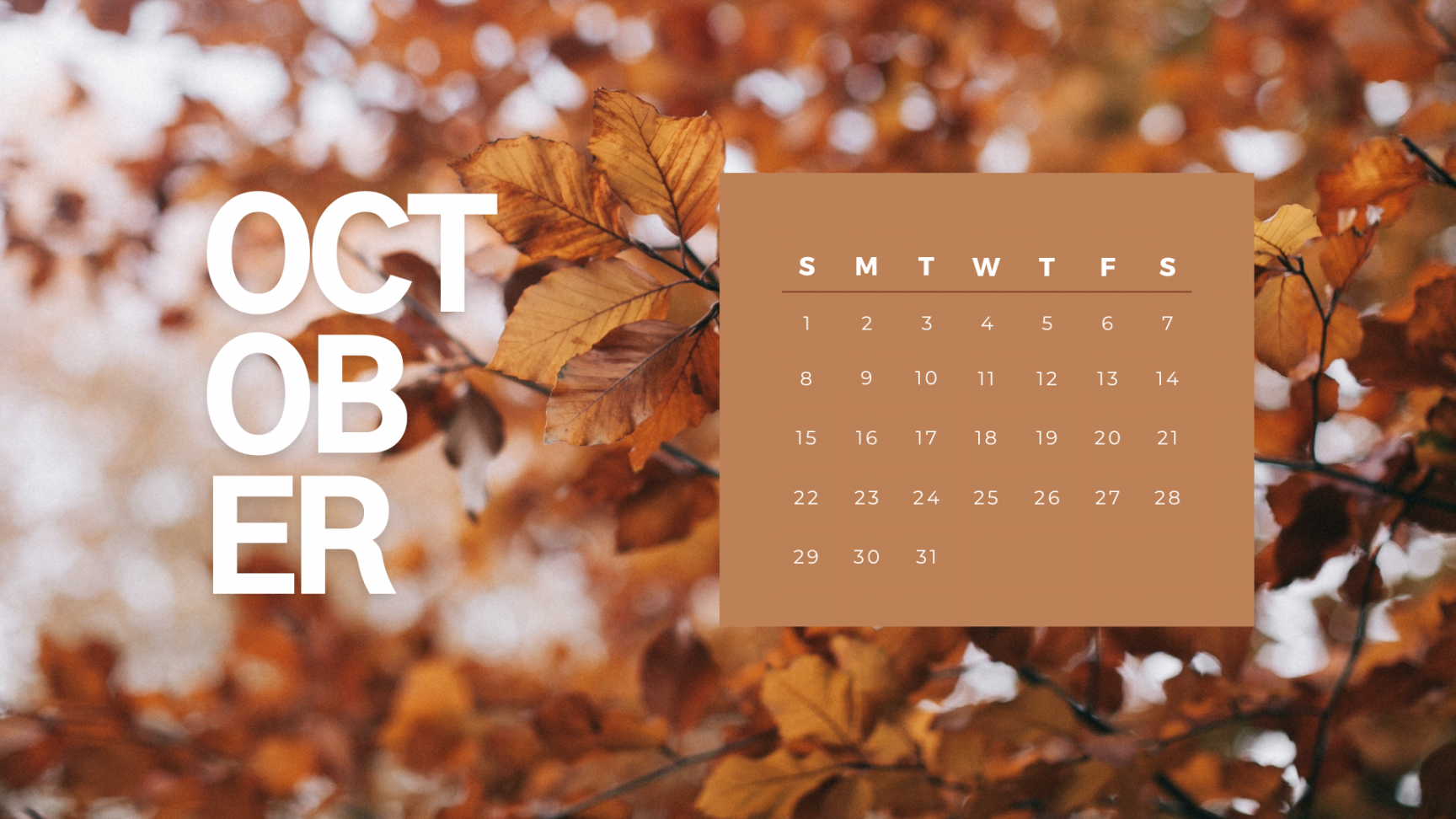Free Desktop Backgrounds October  - A Dash of Kam