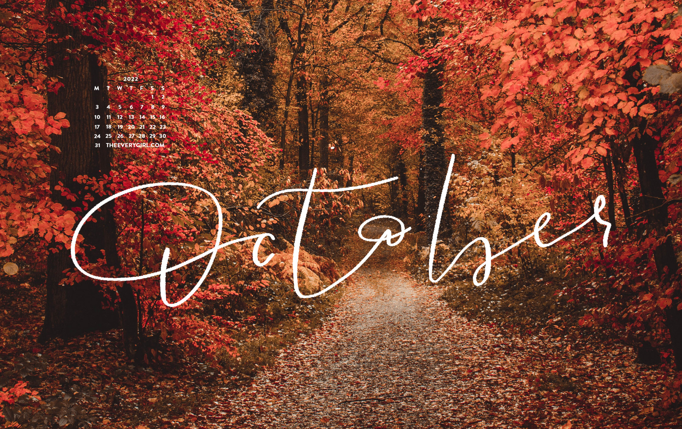 Free, Downloadable Tech Backgrounds for October !  The Everygirl