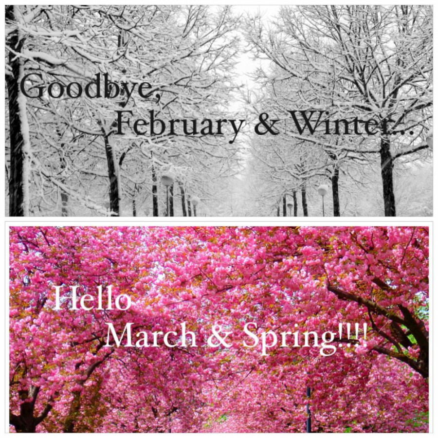 Goodbye February & WinterHello March & Spring!!!! #winter