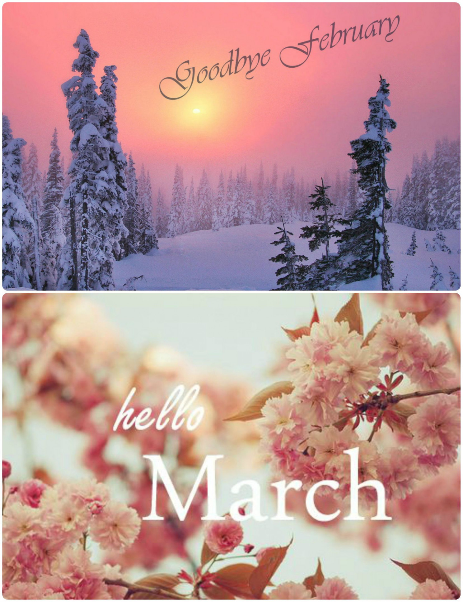 Goodbye February Hello March  Hello march, Hello february quotes
