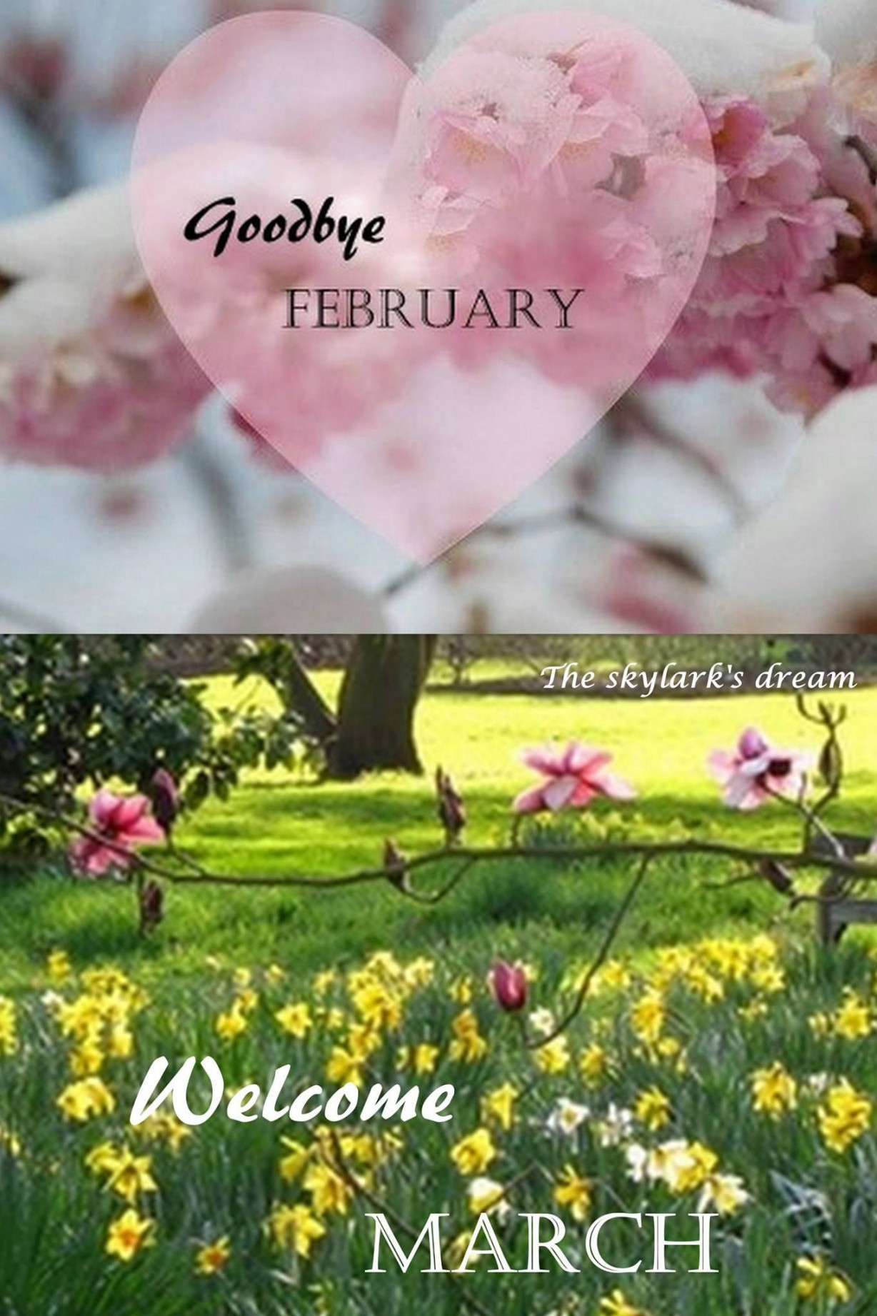 Goodbye FebruaryWelcome March ❤  Hello march quotes, Hello