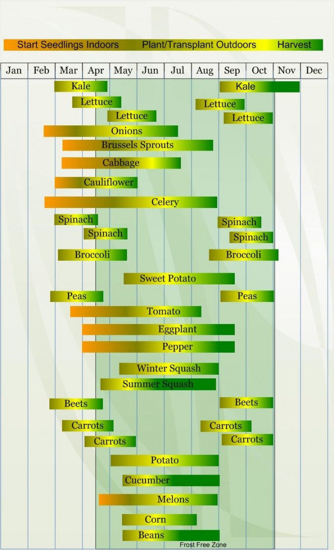 Monthly Gardening Calendar Zone   Vegetable planting calendar