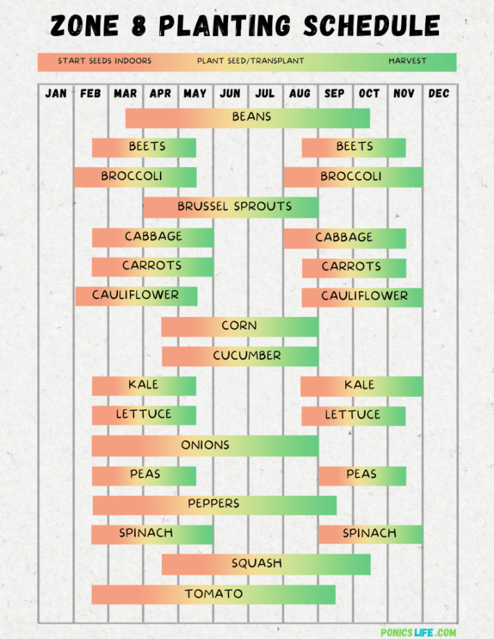 Zone  Planting Schedule and Calendar: A Quick Guide - Ponics Life