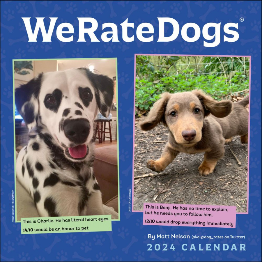 We Rate Dogs  Wall Calendar