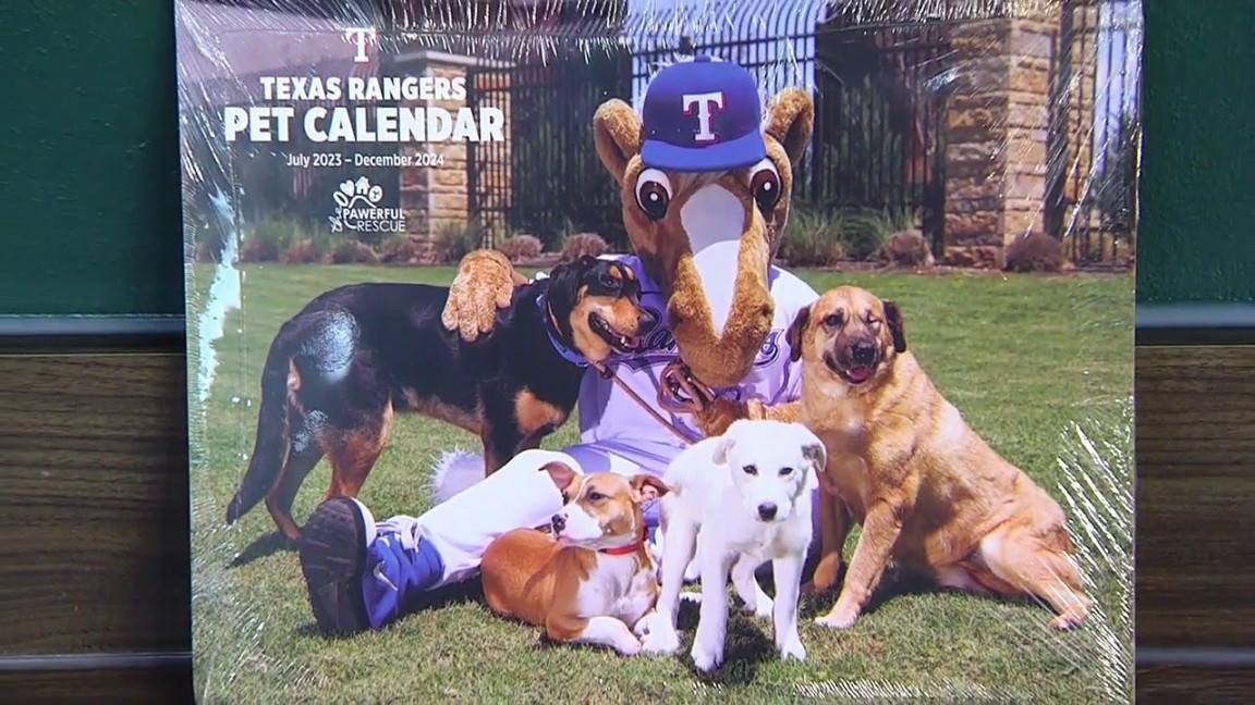 Texas Rangers Pet Calendar  Rangers Baseball