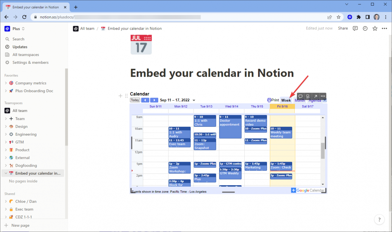 How to embed Google Calendar in Notion - Plus