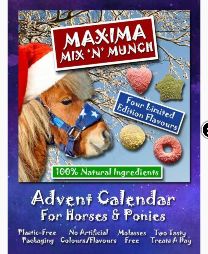 Our pick of Christmas advent calendars for horses and their owners