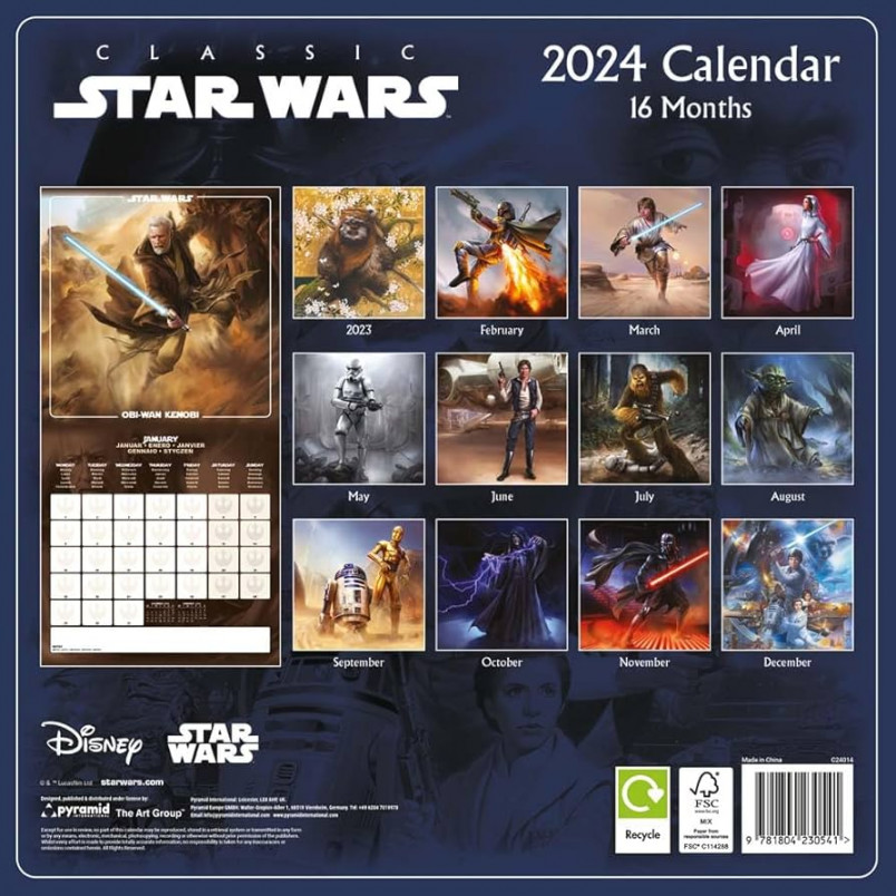 Star Wars Calendar  (Classic Design) - Month to a View Planner cm x  cm - Official Merchandise