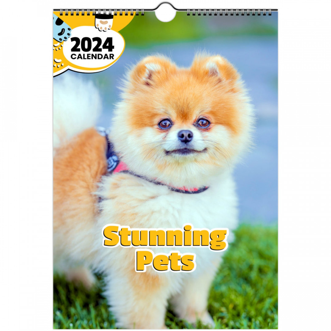 Stunning Pets:  Wall Calendar (United Kingdom)