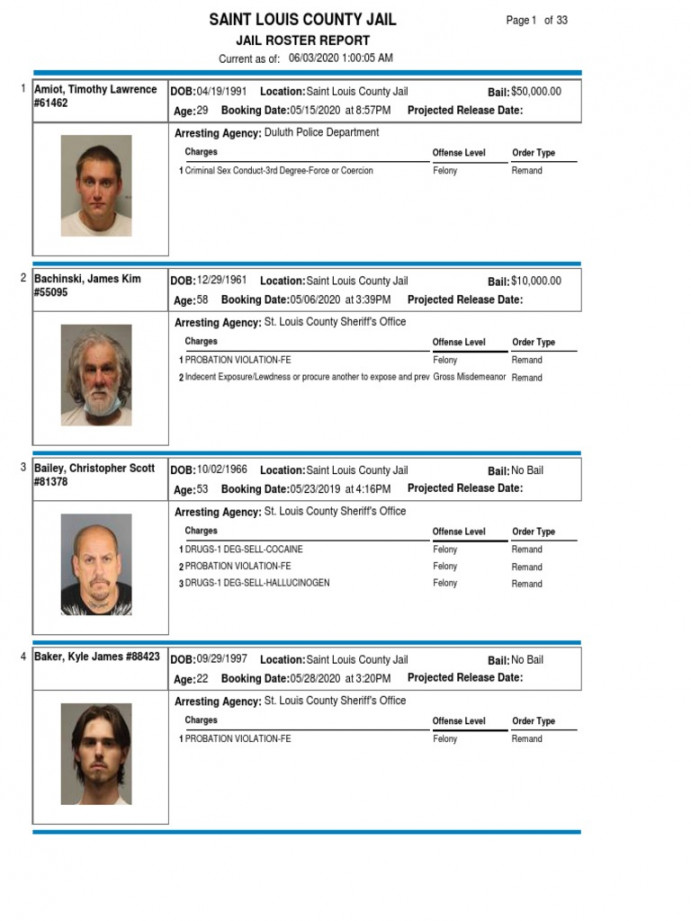 Saint Louis County Jail Roster Report  PDF  Misdemeanor  Felony