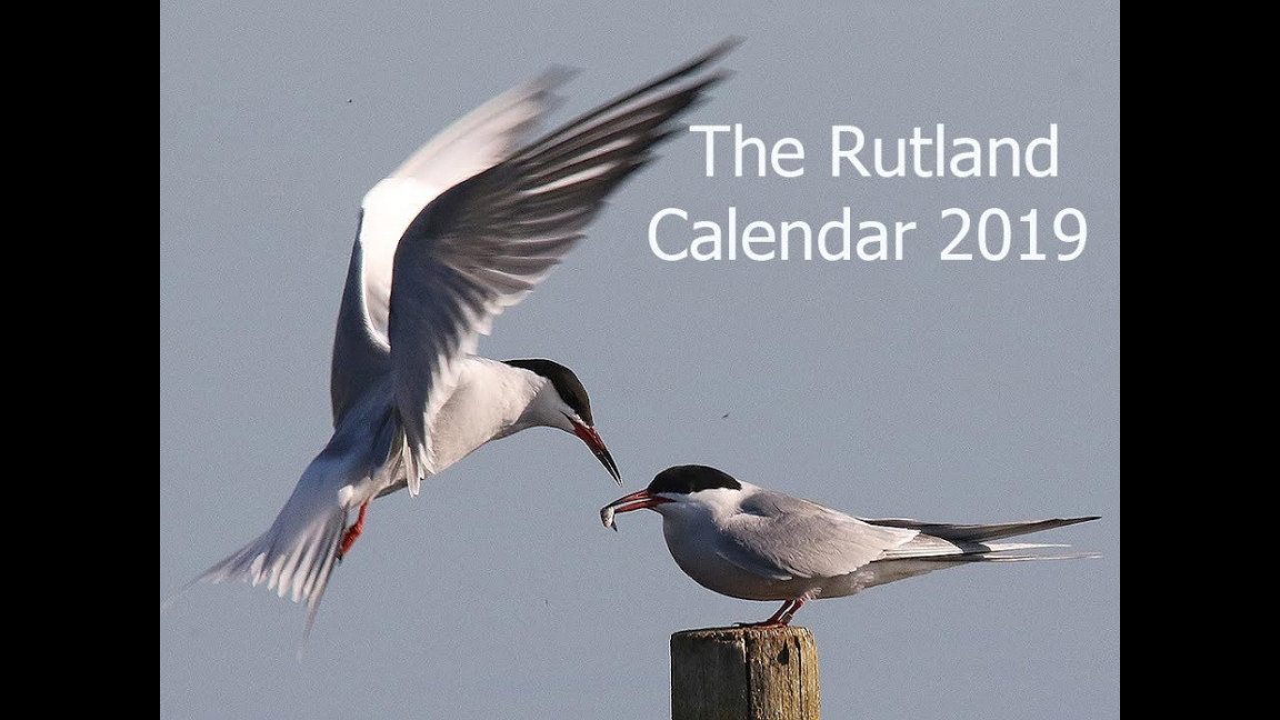 Rutland Criminal Court Calendar