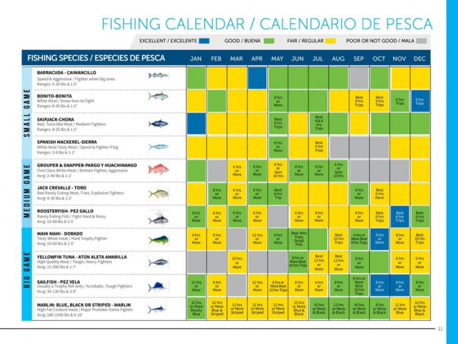 Fishing Calendar  Boat Rental  Bip Charters Puerto Vallarta