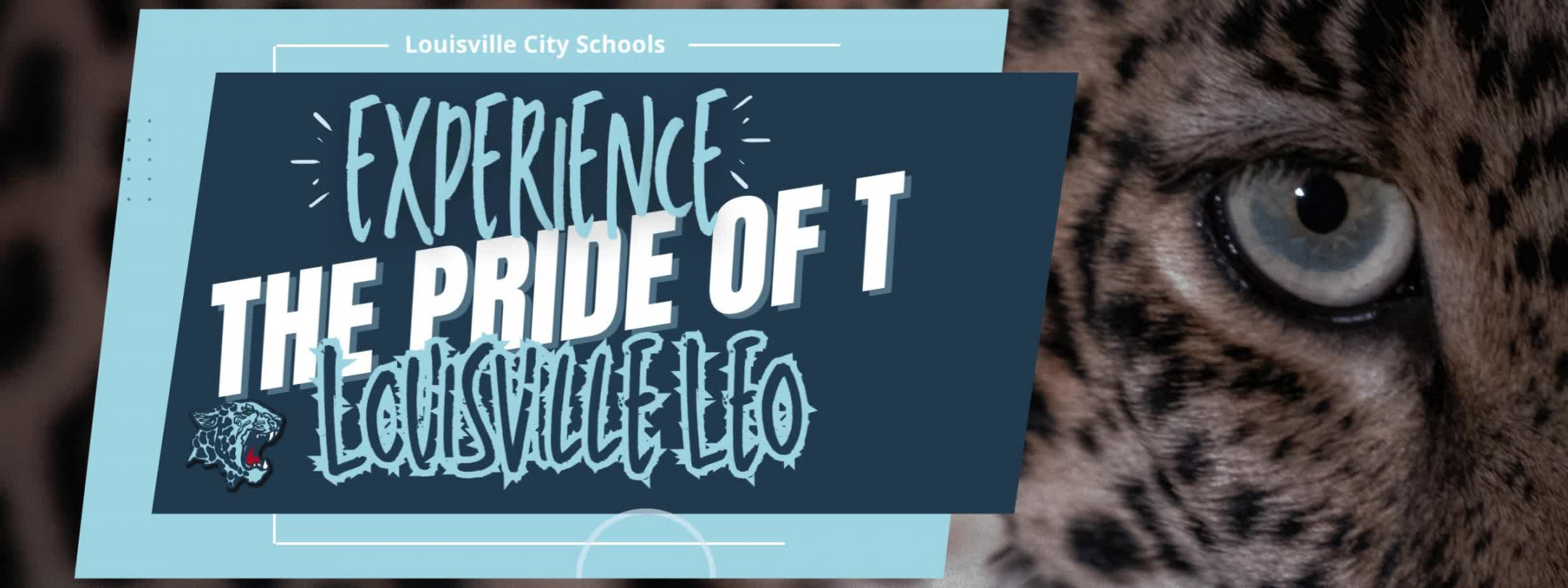 Home - Louisville City School District