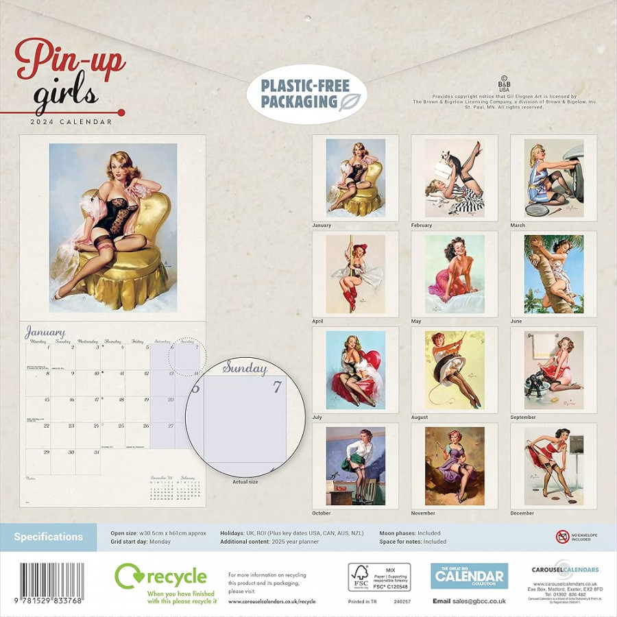 Pin Up Girls Wall Calendar: Calendars, Carousel