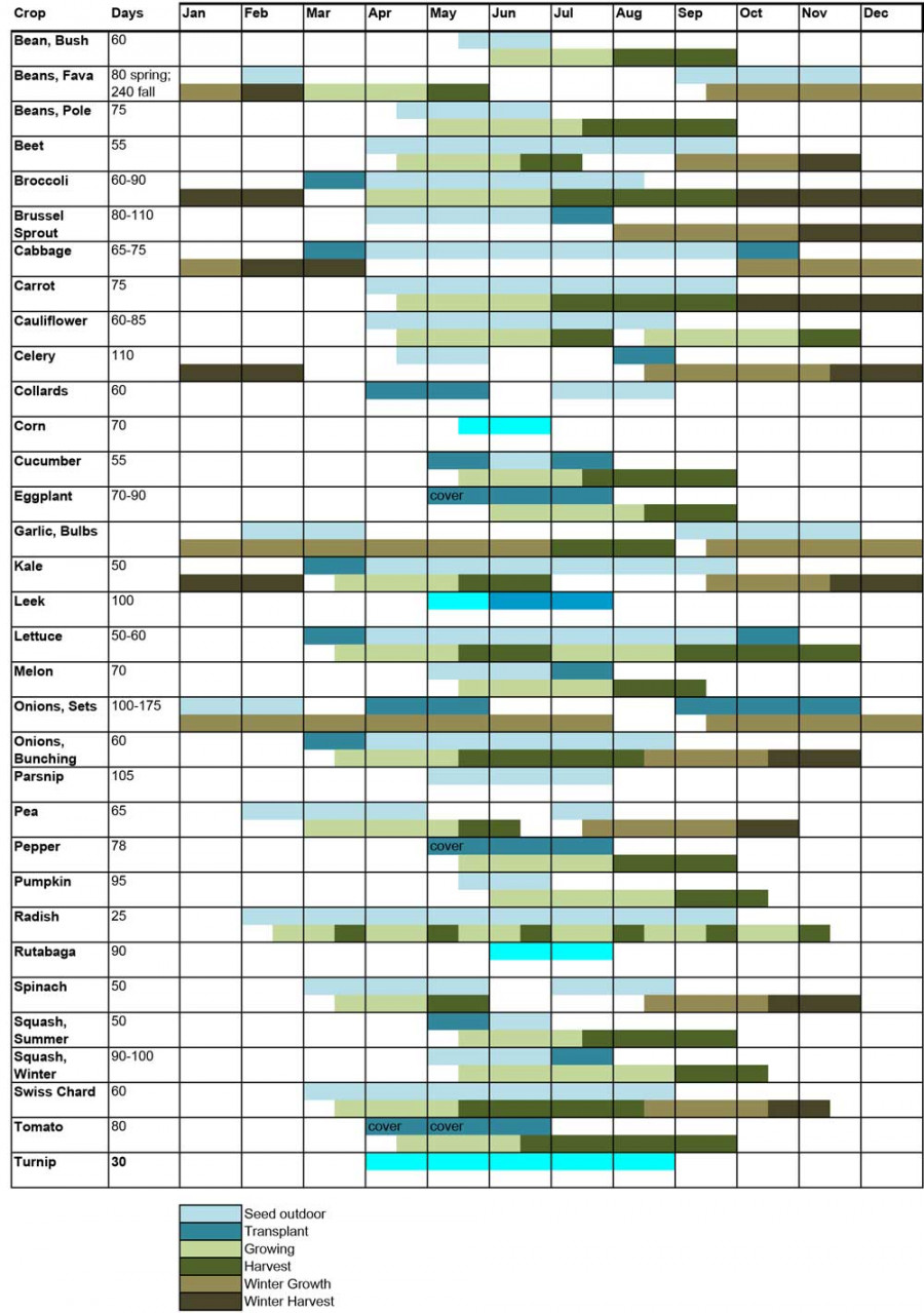 Seed Starting Calendar  Hip Chick Digs