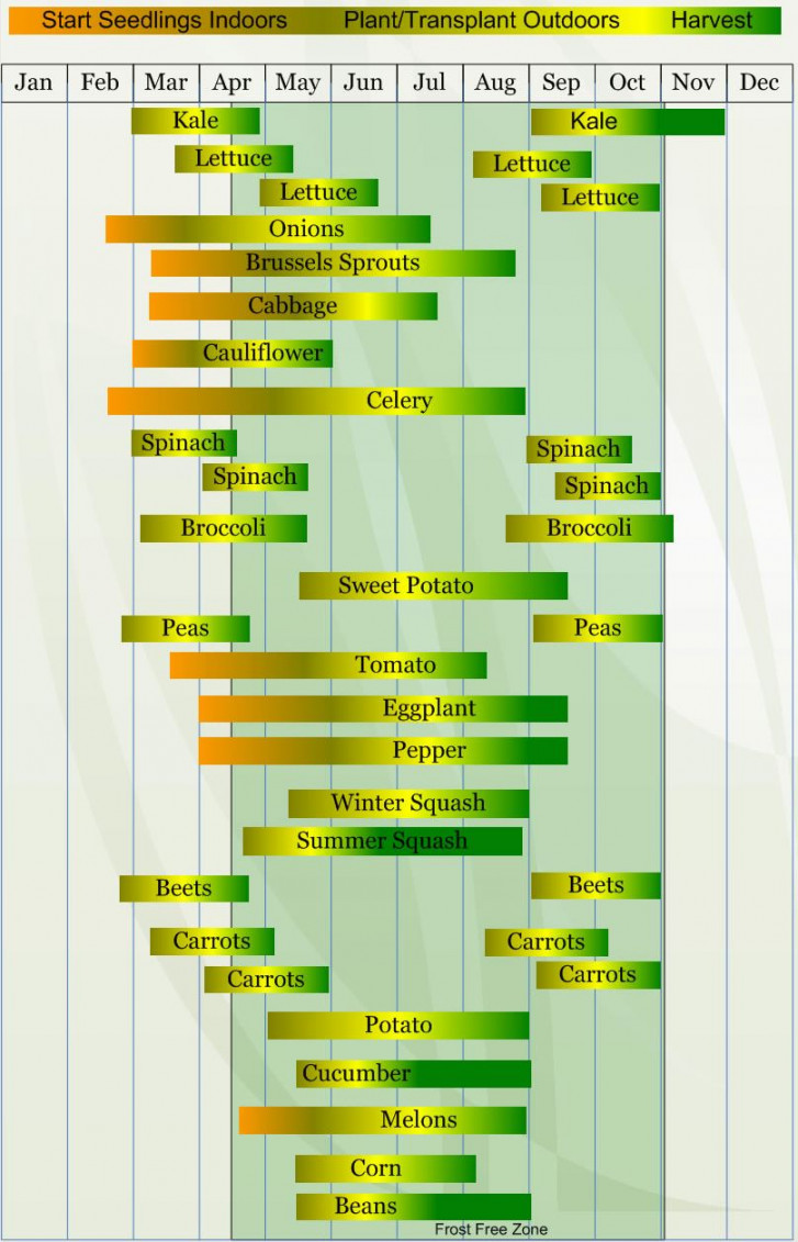 Zone  Planting Calendar